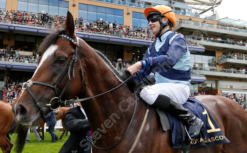 Accidental-Agent-0009 
 ACCIDENTAL AGENT (Charles Bishop) after The Queen Anne Stakes
Royal Ascot 19 Jun 2018 - Pic Steven Cargill / Racingfotos.com