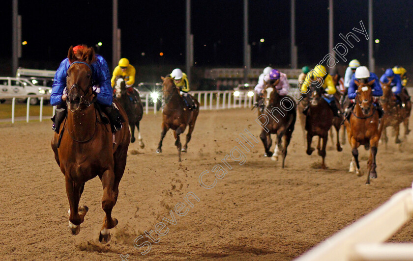 Royal-Mews-0003 
 ROYAL MEWS (James Doyle) wins The tote.co.uk Now Never Beaten By SP Maiden Stakes
Chelmsford 8 Oct 2020 - Pic Steven Cargill / Racingfotos.com