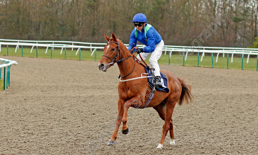 Quantum-Dawn-0001 
 QUANTUM DAWN (Joe Fanning)
Lingfield 4 Mar 2020 - Pic Steven Cargill / Racingfotos.com