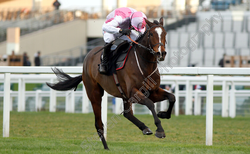 Ask-Dillon-0006 
 ASK DILLON (Paddy Brennan) wins The Eventmasters.co.uk Maiden Hurdle
Ascot 21 Dec 2018 - Pic Steven Cargill / Racingfotos.com