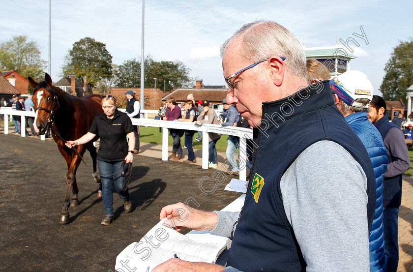 Karl-Burke-0002 
 KARL BURKE surverying potential purchases at Tattersalls Sales
Newmarket 16 Oct 2018 - Pic Steven Cargill