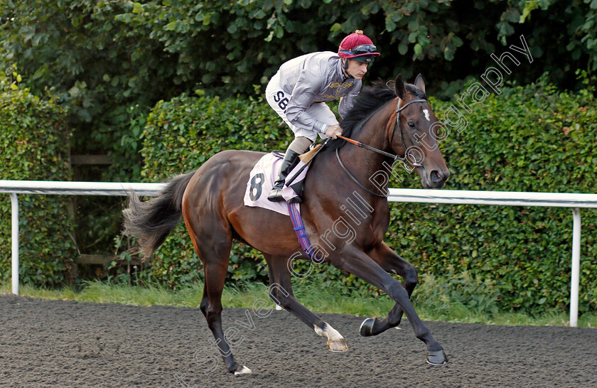 Migdam-0001 
 MIGDAM (Richard Kingscote) winner of The Unibet British Stallion Studs EBF Restricted Novice Stakes
Kempton 3 Sep 2021 - Pic Steven Cargill / Racingfotos.com