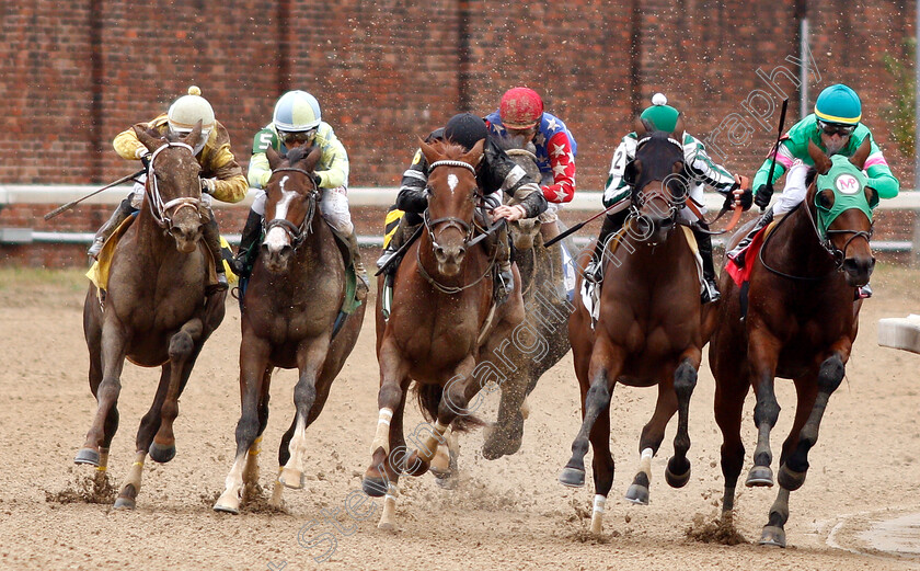 Dutch-Parrot-0003 
 DUTCH PARROT (left, Ricardo Santana Jr) wins Allowance Optional Claimer
Churchill Downs USA 2 Nov 2018 - Pic Steven Cargill / Racingfotos.com