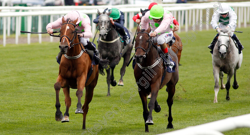 Thomas-Hobson-0005 
 THOMAS HOBSON (left, Ryan Moore) beats MAX DYNAMITE (right) in The Doncaster Cup Stakes
Doncaster 14 Sep 2018 - Pic Steven Cargill / Racingfotos.com