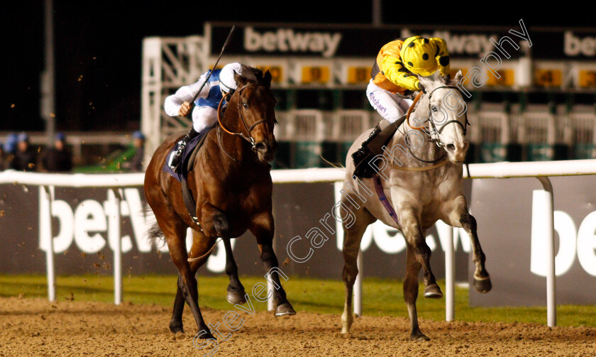 Watersmeet-0006 
 WATERSMEET (right, Joe Fanning) beats FUNNY KID (left) in The Betway Live Casino Conditions Stakes Wolverhampton 15 Jan 2018 - Pic Steven Cargill / Racingfotos.com