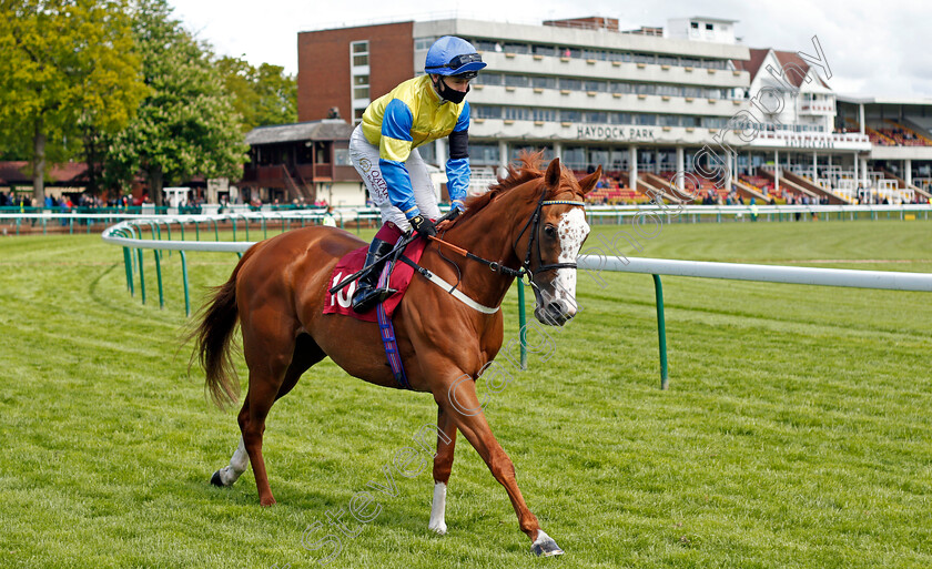 Molls-Memory-0001 
 MOLLS MEMORY (Oisin Murphy) winner of The Casumo Horse Racing And Sports Betting Handicap
Haydock 22 May 2021 - Pic Steven Cargill / Racingfotos.com