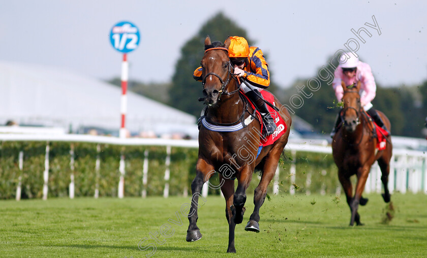 Dancing-Gemini-0005 
 DANCING GEMINI (Lewis Edmunds) wins The Betfred Flying Scotsman Stakes
Doncaster 15 Sep 2023 - Pic Steven Cargill / Racingfotos.com