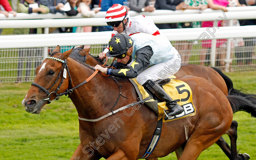 Lion-Tower-0003 
 LION TOWER (Sam James) wins The JCB Handicap
York 11 Jun 2022 - Pic Steven Cargill / Racingfotos.com