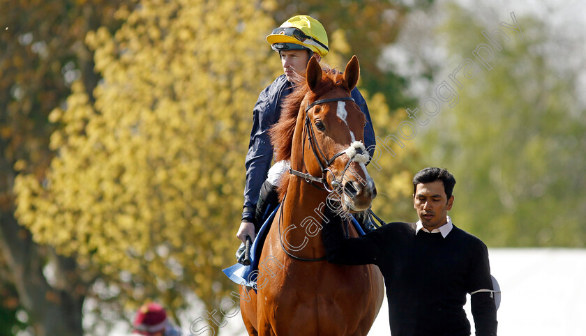 Crystal-Delight-0002 
 CRYSTAL DELIGHT (Richard Kingscote)
Leicester 23 Apr 2022 - Pic Steven Cargill / Racingfotos.com