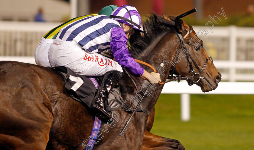 Under-The-Twilight-0004 
 UNDER THE TWILIGHT (Tom Marquand) wins The Support The Injured Jockeys Fund Novice Stakes
Chelmsford 14 Oct 2021 - Pic Steven Cargill / Racingfotos.com