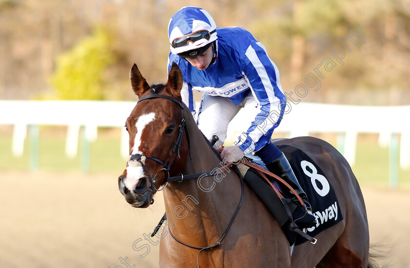 Stone-Of-Destiny-0001 
 STONE OF DESTINY (Oisin Murphy)
Lingfield 2 Feb 2019 - Pic Steven Cargill / Racingfotos.com