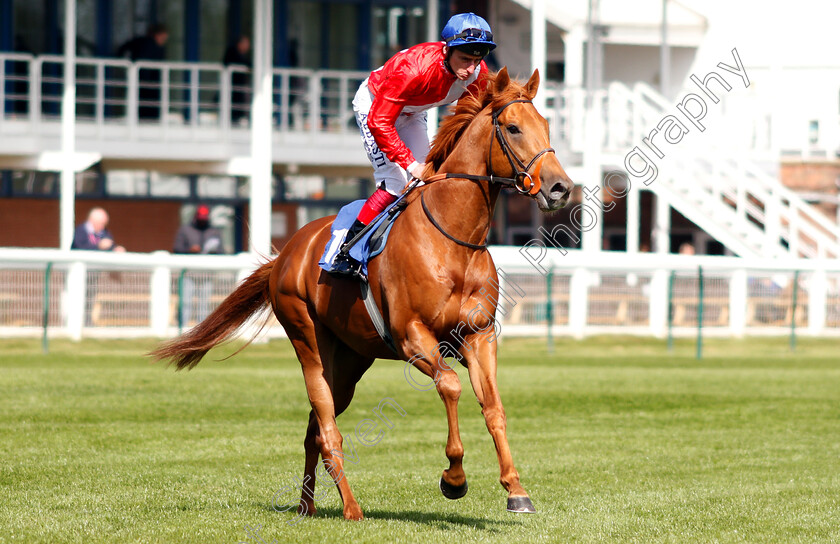 Vasiliev-0001 
 VASILIEV (Adam Kirby)
Nottingham 10 Apr 2019 - Pic Steven Cargill / Racingfotos.com