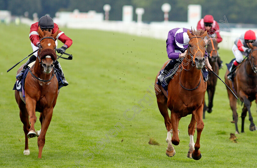 Thunder-Max-0005 
 THUNDER MAX (right, Rossa Ryan) beats UNILATERALISM (left) in The Coopers Marquees Maiden Stakes
Doncaster 10 Sep 2021 - Pic Steven Cargill / Racingfotos.com