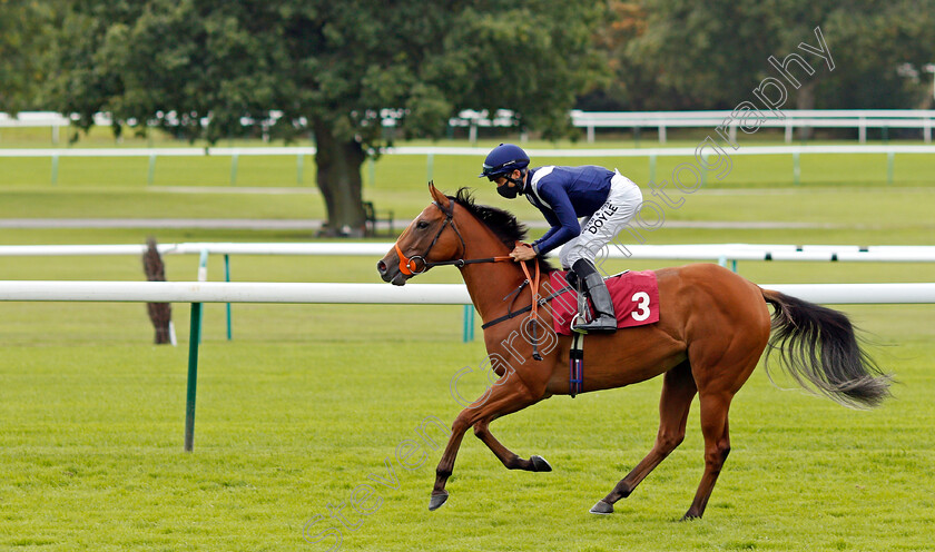 Bay-Of-Whispers-0001 
 BAY OF WHISPERS (Sean Levey)
Haydock 4 Sep 2020 - Pic Steven Cargill / Racingfotos.com