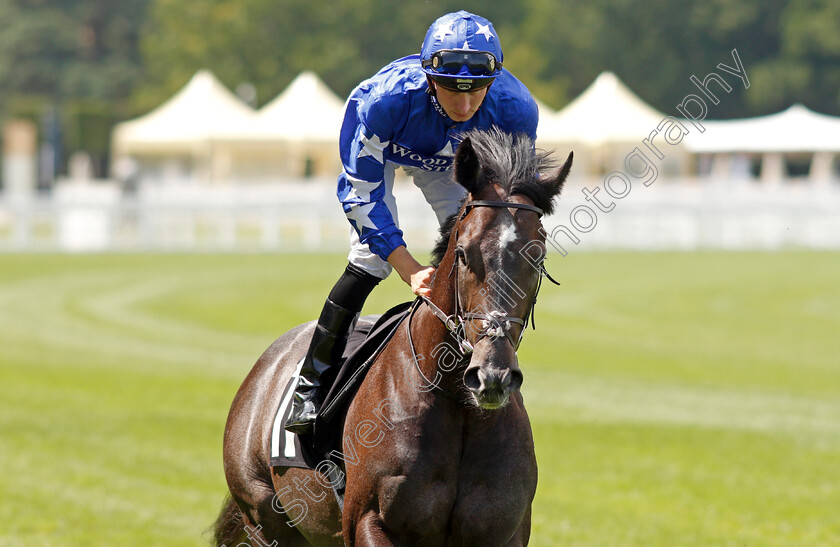 Watchya-0001 
 WATCHYA (Adam Kirby)
Ascot 23 Jul 2021 - Pic Steven Cargill / Racingfotos.com