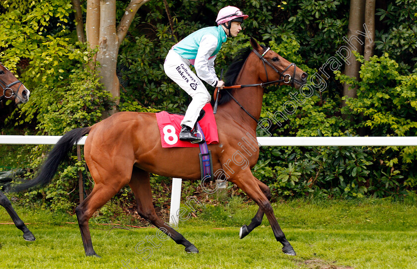 Neyland-0001 
 NEYLAND (Richard Kingscote) Sandown 27 Apr 2018 - Pic Steven Cargill / Racingfotos.com