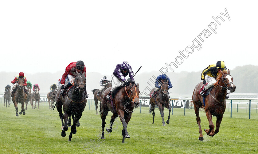 Pour-Me-A-Drink-0003 
 POUR ME A DRINK (right, P J McDonald) beats OUZO (centre) and CARDANO (left) in The Betway Handicap
Haydock 27 Apr 2019 - Pic Steven Cargill / Racingfotos.com