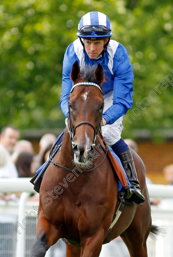 Ikhtiraaq-0002 
 IKHTIRAAQ (Jim Crowley)
Salisbury 11 Aug 2021 - Pic Steven Cargill / Racingfotos.com