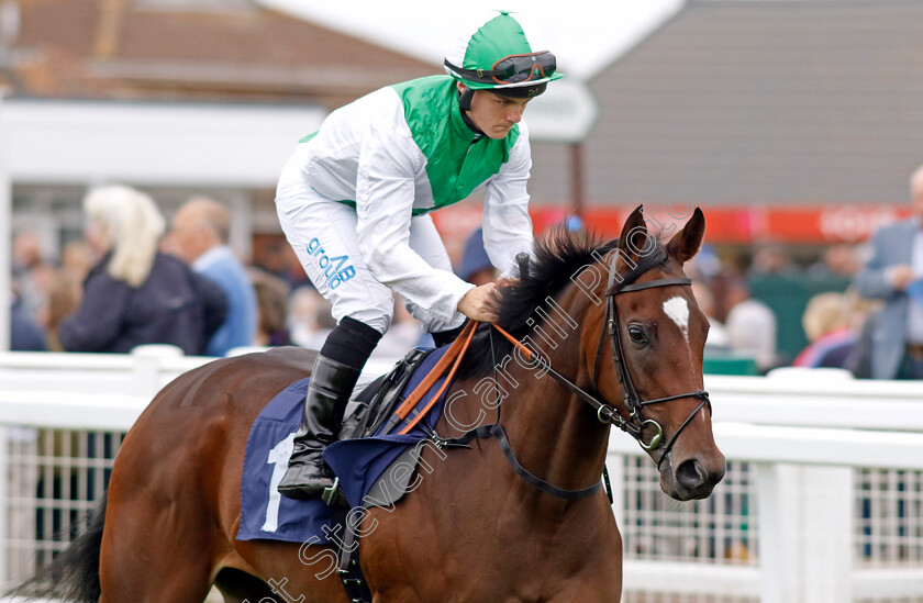 Al-Hujaija-0001 
 AL HUJAIJA (Aidan Keeley)
Yarmouth 20 Sep 2023 - Pic Steven Cargill / Racingfotos.com