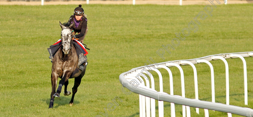 Spirit-Of-Light-0002 
 SPIRIT OF LIGHT training at Meydan, Dubai
2 Feb 2023 - Pic Steven Cargill / Racingfotos.com