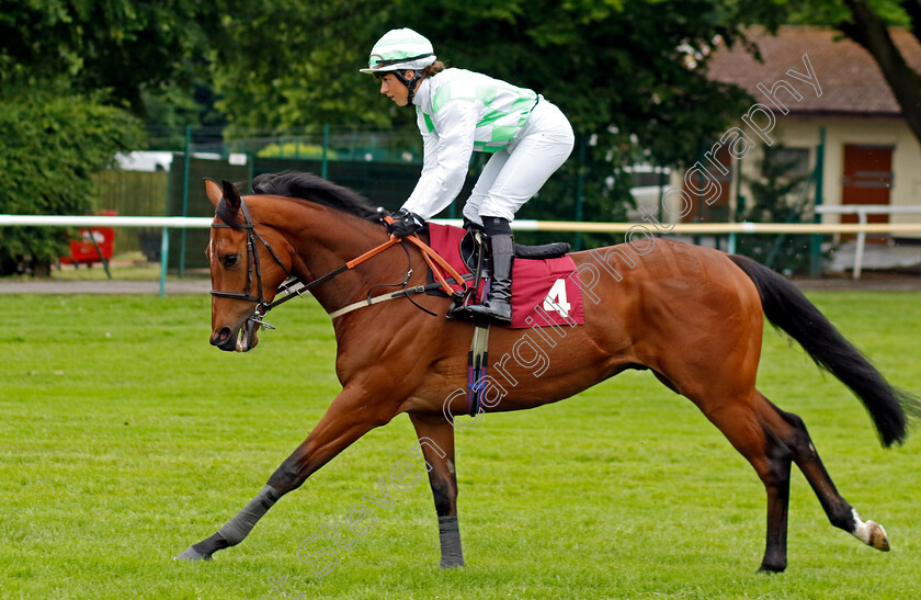 Amancio-0001 
 AMANCIO (Rose Dawes)
Haydock 24 May 2024 - Pic Steven cargill / Racingfotos.com