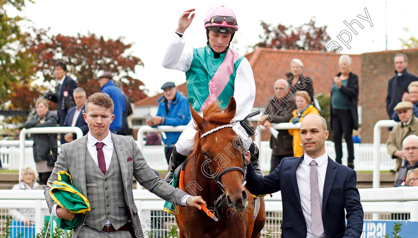 Quadrilateral-0005 
 QUADRILATERAL (Jason Watson) after winning The bet365 Fillies Mile
Newmarket 11 Oct 2019 - Pic Steven Cargill / Racingfotos.com