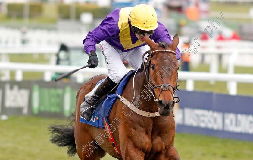 Bleu-Berry-0005 
 BLEU BERRY (Mark Walsh) wins The Coral Cup Cheltenham 14 Mar 2018 - Pic Steven Cargill / Racingfotos.com