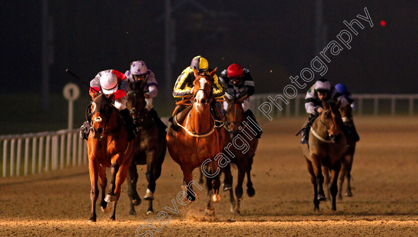 Combine-0002 
 COMBINE (left, Tom Marquand) beats MY GIRL MAGGIE (centre) in The Betway Handicap
Wolverhampton 1 Feb 2021 - Pic Steven Cargill / Racingfotos.com