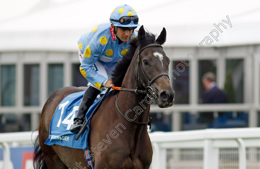 Dashing-Roger-0001 
 DASHING ROGER (Marco Ghiani)
Epsom 31 May 2024 - Pic Steven Cargill / Racingfotos.com