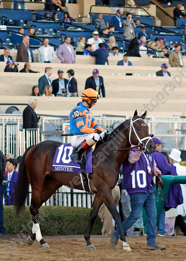 Mentee-0001 
 MENTEE (John Velazquez)
Del Mar 1 Nov 2024 - Pic Steven Cargill / Racingfotos.com