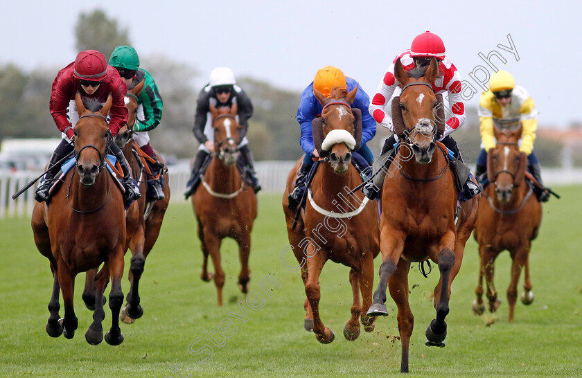 Wynter-Wildes-0003 
 WYNTER WILDES (right, Mikkel Mortensen) beats DIVYA (left) in The British EBF Premier Fillies Handicap
Yarmouth 20 Sep 2023 - Pic Steven Cargill / Racingfotos.com