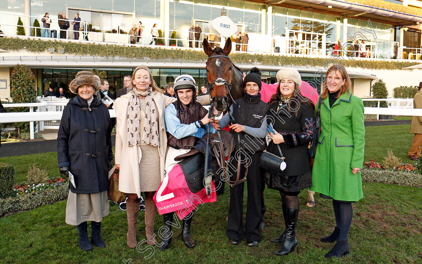 Sir-Valentino-0008 
 SIR VALENTINO (J J Burke) after The Shawbrook Handicap Chase Ascot 25 Nov 2017 - Pic Steven Cargill / Racingfotos.com