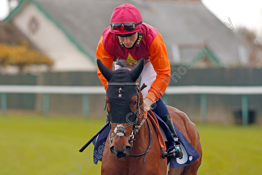 Sandkissed-0001 
 SANDKISSED (Finley Marsh) Yarmouth 24 Oct 2017 - Pic Steven Cargill / Racingfotos.com