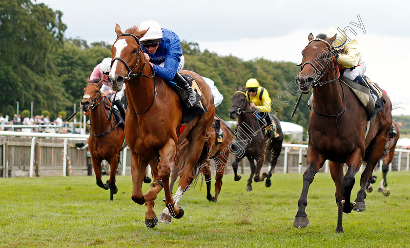 Modern-News-0001 
 MODERN NEWS (left, James Doyle) beats FINAL WATCH (right) in The Joyce And Charlie Guest Memorial Handicap
Newmarket 31 Jul 2021 - Pic Steven Cargill / Racingfotos.com