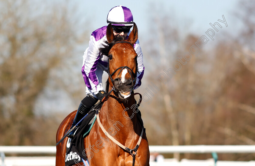 Gorgeous-Noora-0001 
 GORGEOUS NOORA (Hollie Doyle) before winning The Betway Hever Sprint Stakes
Lingfield 23 Feb 2019 - Pic Steven Cargill / Racingfotos.com