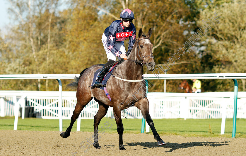 Don t-Tell-Claire-0001 
 DON'T TELL CLAIRE (Jack Mitchell)
Lingfield 28 Oct 2021 - Pic Steven Cargill / Raingfotos.com