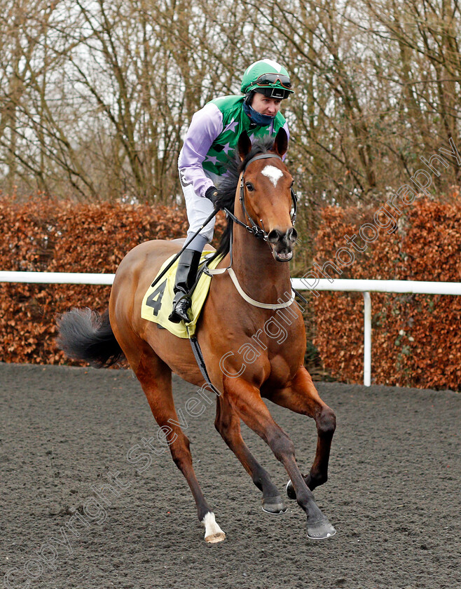 Portelet-Bay-0001 
 PORTELET BAY (Tom Queally) 
Kempton 16 Feb 2021 - Pic Steven Cargill / Racingfotos.com