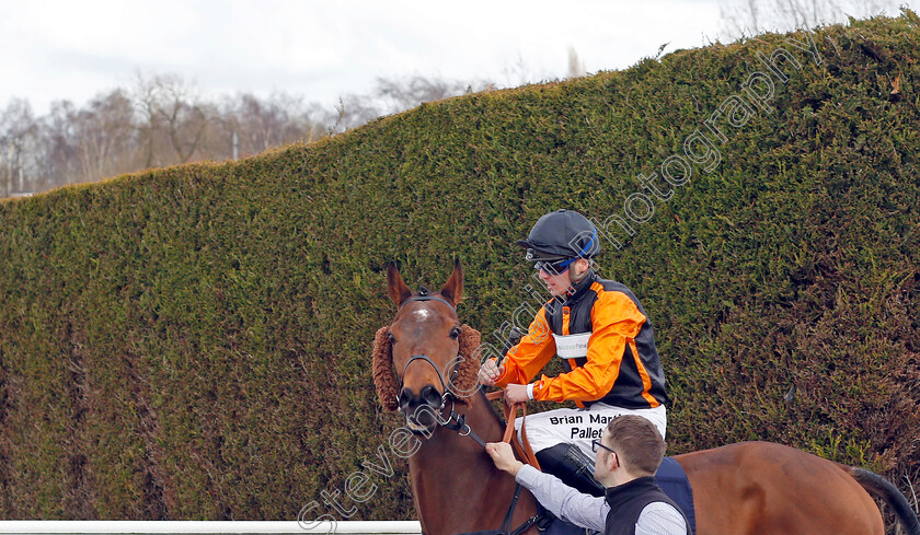 Whittle-Le-Woods-0001 
 WHITTLE LE WOODS (Theodore Ladd) winner of The Betway Handicap
Wolverhampton 12 Mar 2022 - Pic Steven Cargill / Racingfotos.com