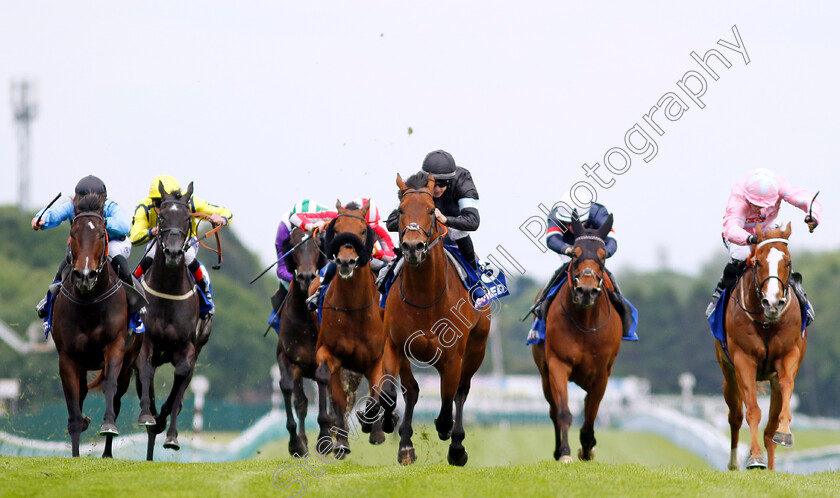 Kerdos-0006 
 KERDOS (centre, Richard Kingscote) beats LIVE IN THE DREAM (right) and ASFOORA (left) in The Betfred Temple Stakes
Haydock 25 May 2024 - Pic Steven Cargill / Racingfotos.com