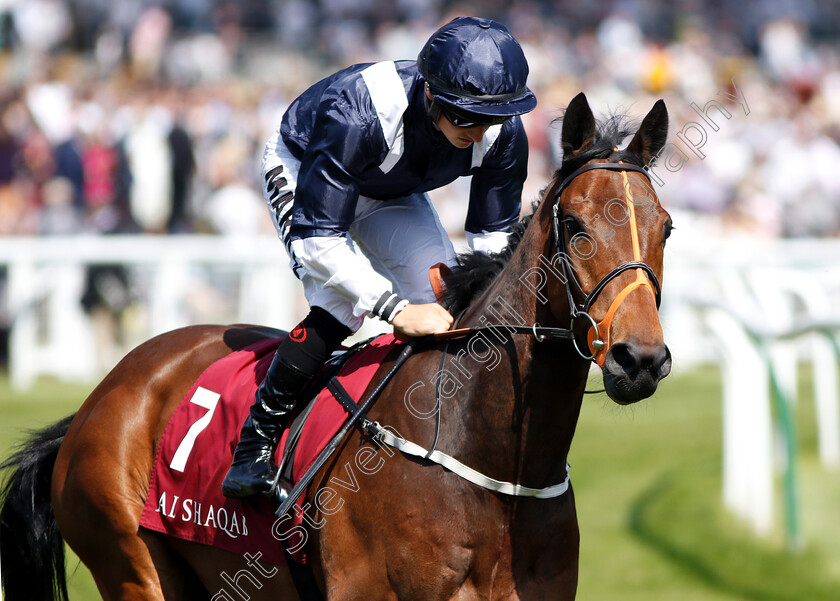 He s-Amazing-0001 
 HE'S AMAZING (Tom Marquand)
Newbury 19 May 2018 - Pic Steven Cargill / Racingfotos.com