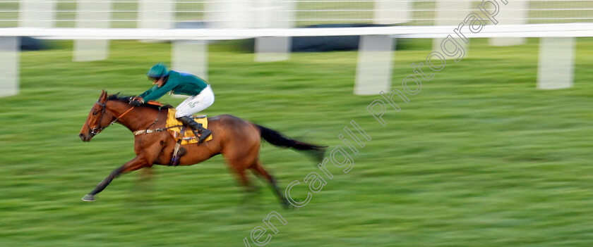 Spirit-D Aunou-0001 
 SPIRIT D'AUNOU (Niall Houlihan) wins The Betfair Handicap Hurdle
Sandown 9 Dec 2023 - Pic Steven Cargill / Racingfotos.com