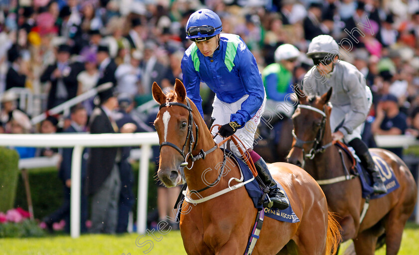 Substitute-0001 
 SUBSTITUTE (Oisin Murphy)
Royal Ascot 21 Jun 2024 - Pic Steven Cargill / Racingfotos.com