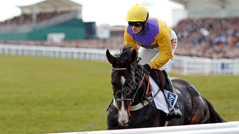 Kalashnikov-0003 
 KALASHNIKOV (Jack Quinlan) Cheltenham 13 Mar 2018 - Pic Steven Cargill / Racingfotos.com