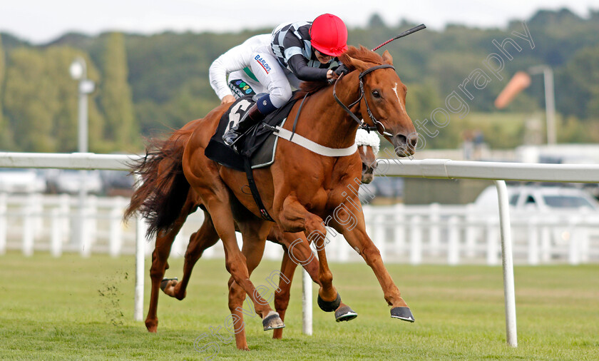 Torcello-0002 
 TORCELLO (Elisha Whittington) wins The Energy Check Handicap Div2
Newbury 17 Aug 2019 - Pic Steven Cargill / Racingfotos.com