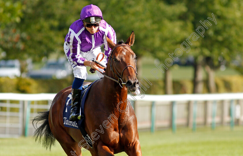 Trident-0001 
 TRIDENT (Mickael Barzalona)
Newmarket 23 Sep 2021 - Pic Steven Cargill / Racingfotos.com