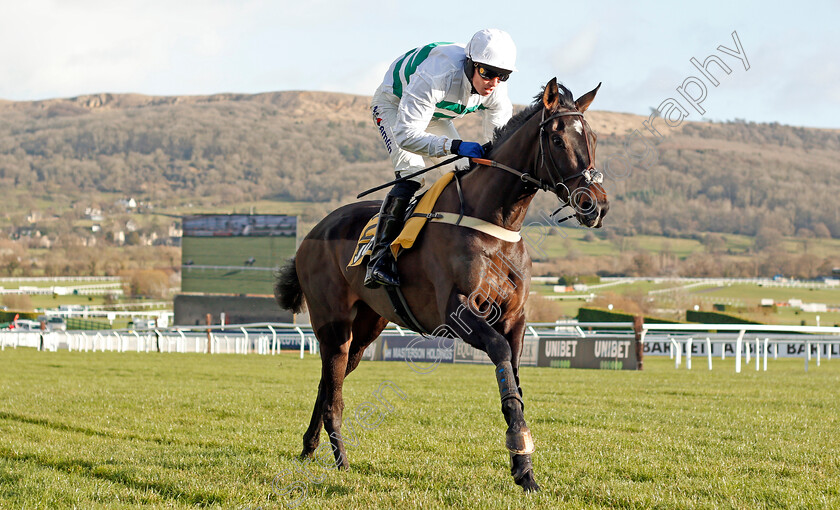 Botox-Has-0003 
 BOTOX HAS (Joshua Moore) wins The JCB Triumph Trial Juvenile Hurdle
Cheltenham 14 Dec 2019 - Pic Steven Cargill / Racingfotos.com