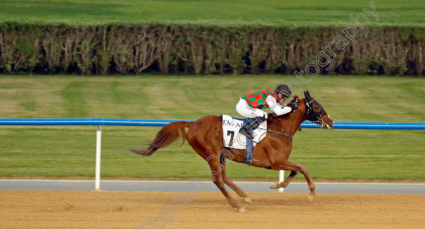 Hayyan-0003 
 HAYYAN (Oscar Chaves) wins The Al Maktoum Challenge (Round 2) for Purebred Arabians
Meydan, Dubai 3 Feb 2023 - Pic Steven Cargill / Racingfotos.com