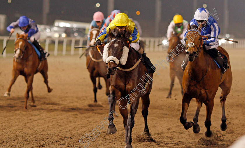 Full-Intention-0003 
 FULL INTENTION (centre, David Probert) beats DEAR POWER (right) in The tote.co.uk Handicap
Chelmsford 27 Nov 2020 - Pic Steven Cargill / Racingfotos.com