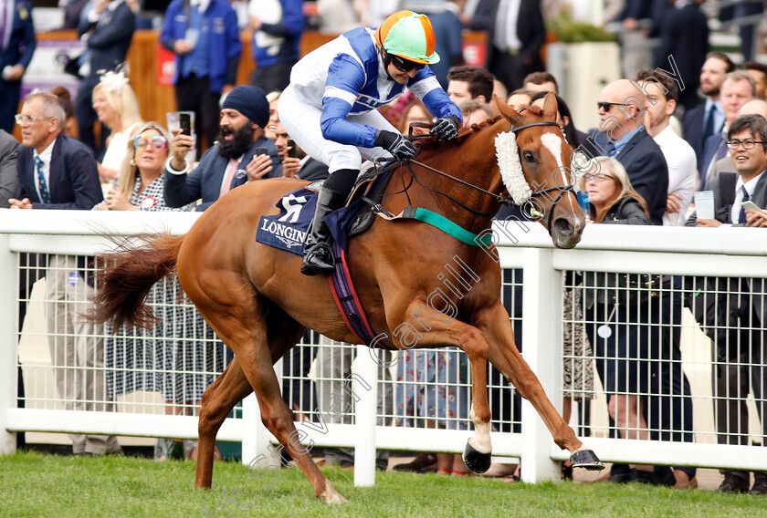 Redarna-0002 
 REDARNA (Emma Sayer) wins The Longines Handicap
Ascot 27 Jul 2019 - Pic Steven Cargill / Racingfotos.com