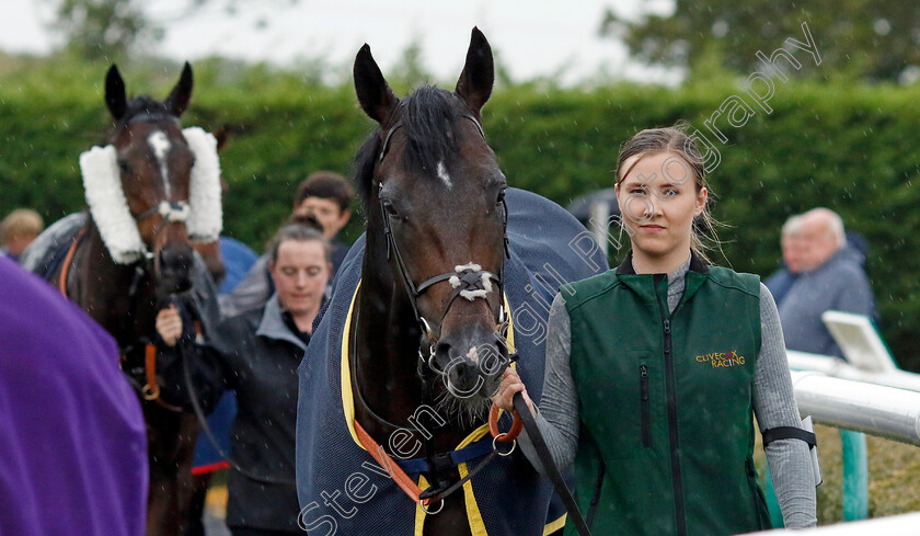 Murphy s-Dream-0009 
 MURPHY'S DREAM
Southwell 4 Oct 2022 - Pic Steven Cargill / Racingfotos.com